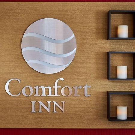 Comfort Inn Rouyn Dış mekan fotoğraf
